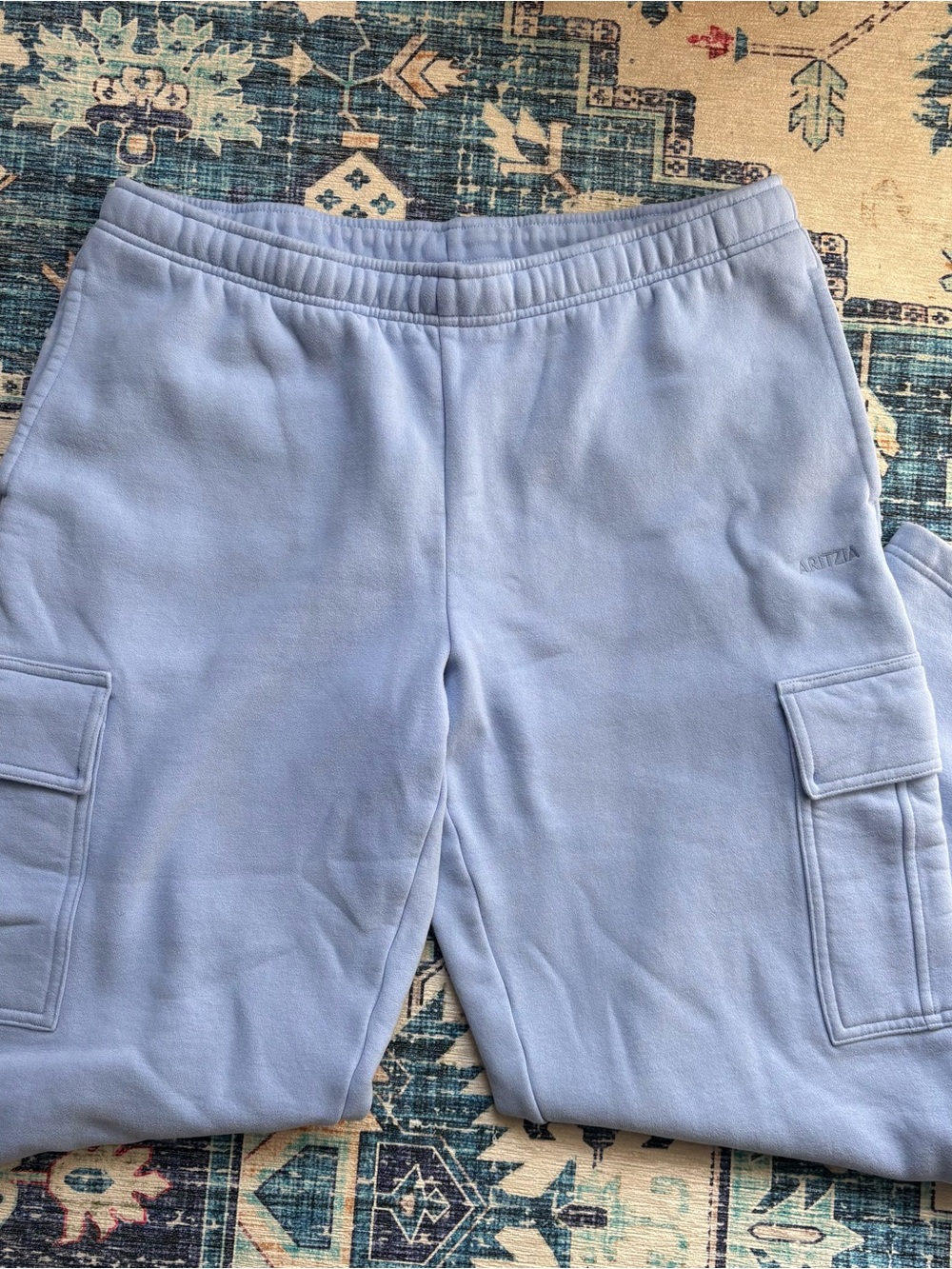 aritzia sweatpants